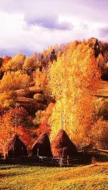 Fall foliage in Transylvania